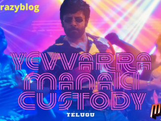 Evaru manaki custody telugu song lyrics in English