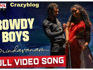 Brindavanam Song lyrics in English - Rowdy Boys